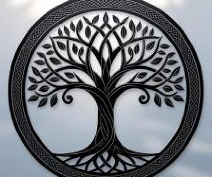 DC-logo3-e1765234673577-223x300